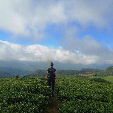 ホテルUnique View Nuwaraeliya ヌワラ・エリヤ エクステリア 写真