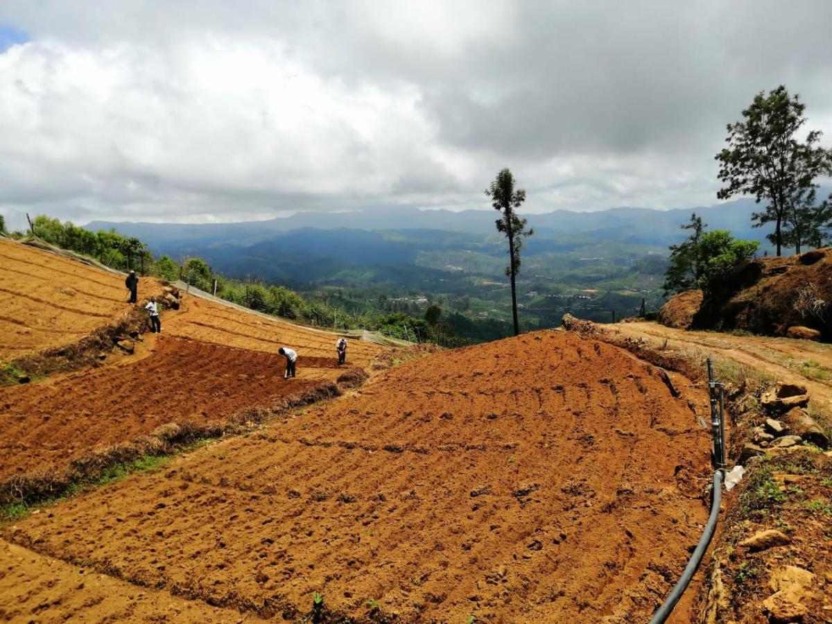 ホテルUnique View Nuwaraeliya ヌワラ・エリヤ エクステリア 写真